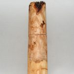 Woodandform Salz- und Pfeffermühle - Bergahorn Maserknolle