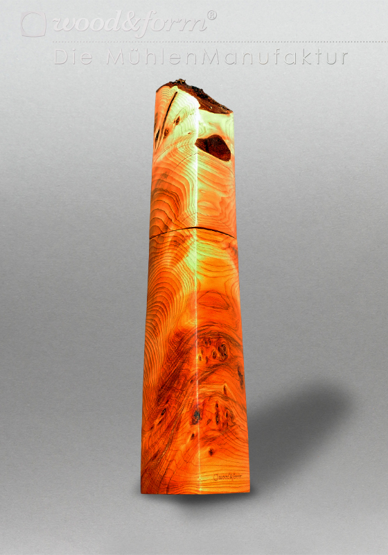 Eibenholz 26018