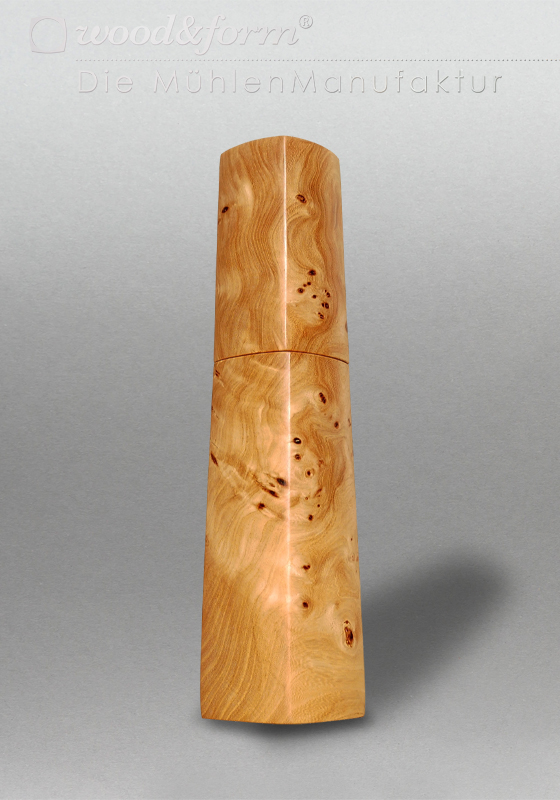 Ulme Maser 26019 – Bild 2