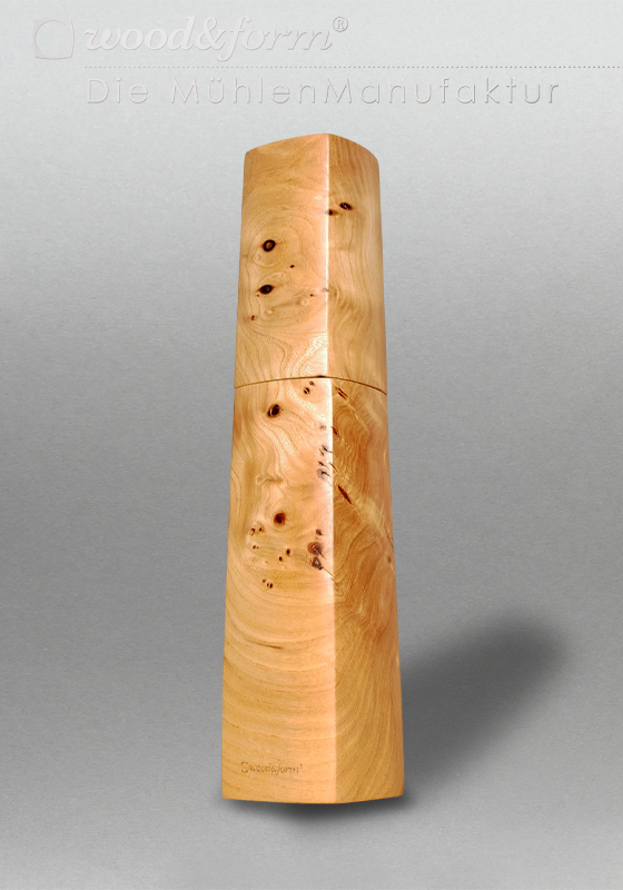 Ulme Maser 26019 – Bild 5
