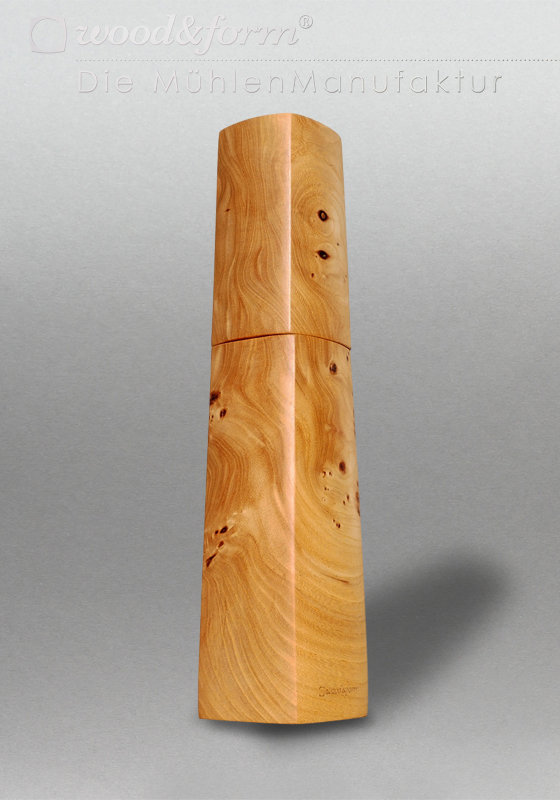Ulme Maser 26019 – Bild 4