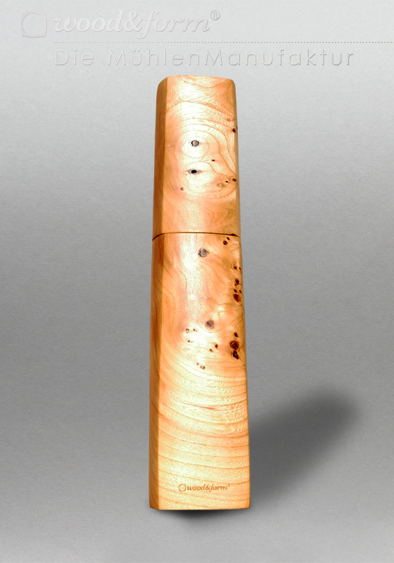 Ulme Maser 26019 – Bild 3